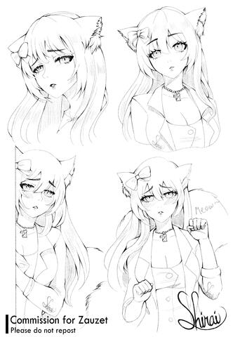 Zauzet's Commission Zauzet's Commission